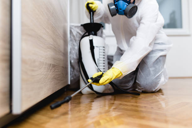 Professional Pest Control in Bradford, TN