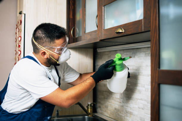 Best Wildlife Control Services  in Bradford, TN
