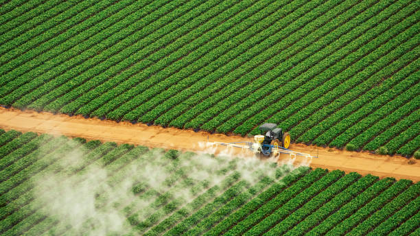 Best Pest Removal Services  in Bradford, TN