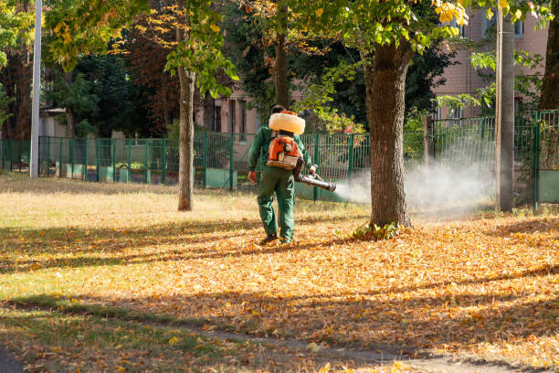 Best Insect Control  in Bradford, TN