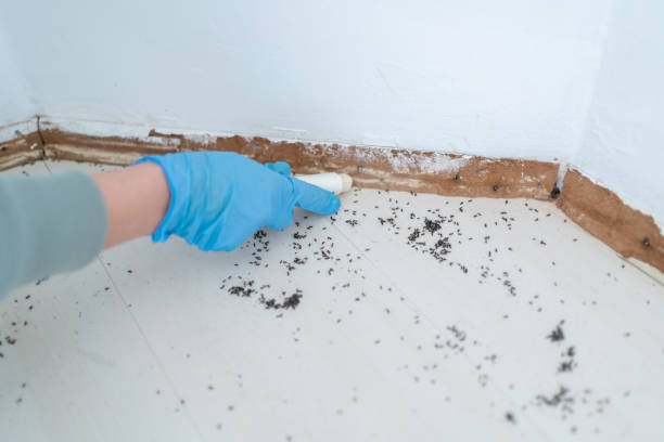 Pest Control for Restaurants in Bradford, TN
